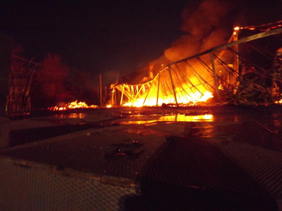 387970_246325728772828_100001862088092_582416_280966934_n