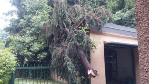 maltempo_ripresa_gio5