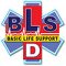 BLSD (Basic Life Support Defibrillation)